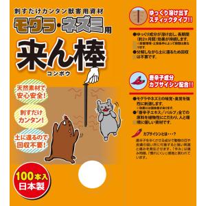 激辛唐辛子エキス 来ん棒 100本 日本製 も...の詳細画像4