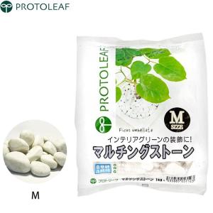 プロトリーフ マルチングストーン 白 M 1kg マルチング材 庭 おしゃれ 鉢石 観葉植物 装飾品 diy｜ssnet