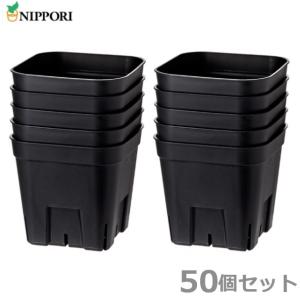サカタのタネ（サカタノタネ） サカタ 育苗ポット 天然素材 ジフィー