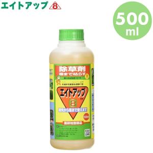 遠心式加湿器 MT5500 遠心力の作用で2,500cc/時の大噴霧量 正規販売