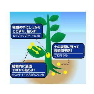 アースカマイラズ 草消滅 ジョウロヘッド 4....の詳細画像2