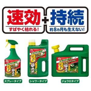 アースカマイラズ 草消滅 ジョウロヘッド 4....の詳細画像4