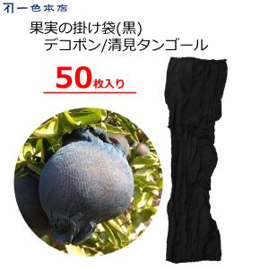 2800枚 果実袋 サンテ S-6 18cm 黒 ミカン 日焼防止 着色促進 樹上越冬 