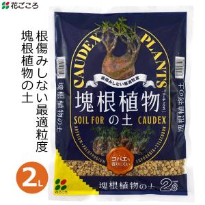 塊根植物の土 2L 培養土 コーデックス 塊根植物 塊茎植物 専用 土 国産 大型多肉 アデニウム 屋外 屋内 花ごころ｜ssnet