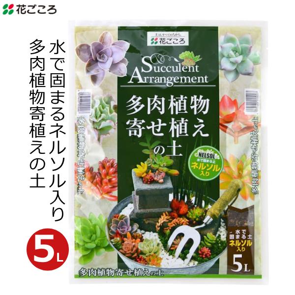 培養土 多肉植物 多肉植物寄せ植えの土 5L 固定 土 植え替え 寄植え 簡単 挿し木 挿し穂 花ご...