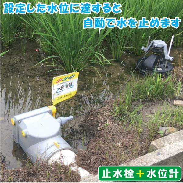 未来工業 水田用 水口栓 自動停止 止水栓 水田当番 100A 給水口 水位調節 給水栓 調整閘 調...