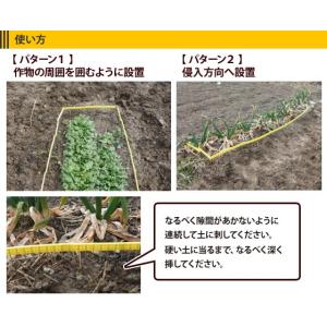 ねんりん モグラ対策 モグラ侵入防止柵 モグ柵...の詳細画像4