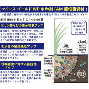 マイコスゴールド マイコス菌根菌 WP 水和剤...の詳細画像1