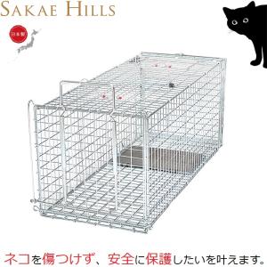 栄ヒルズ 捕獲器 猫専用 保護器 日本製 踏み板式 ねこラテ ネコ用 捕獲機 子猫 アニマルキャッチ...