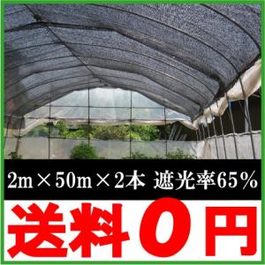 遮光ネット 黒 2m×50m 遮光率75％ 日よけネット 日除けネット 農業用