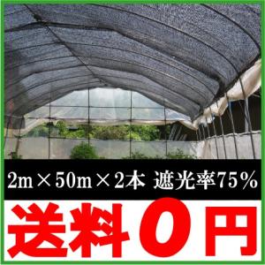 遮光ネット 黒 2m×50m×2本セット 100m 遮光率75％ 日よけネット