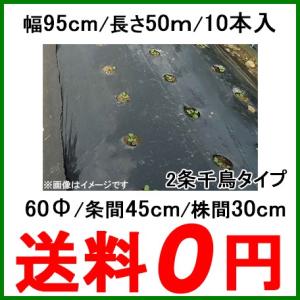 穴あきマルチ 黒マルチ 有孔マルチ 幅95cm 長さ50m 株間270mm 孔60Φ 10
