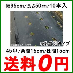 国産 穴あきマルチ 黒マルチ 有孔マルチ 幅95cm 長さ200m 株間300mm 孔