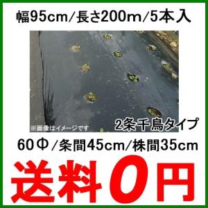 国産 穴あきマルチ 黒マルチ 有孔マルチ 幅95cm 長さ200m 株間300mm 孔