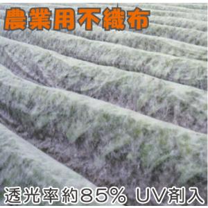 農業用 不織布 2.1m×50m UV剤入 保温シート 農用 防鳥ネット 防虫