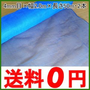 SHINSEI 防風ネット 4mm 目合 巾 2m×長さ 30m シN 代引不可 : 農業用品