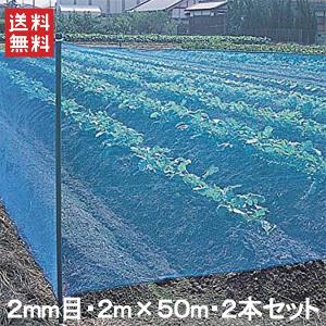 防風ネット(青) 網目2mm×2.0m×50m 2本セット 100m 風よけネット 風除けネット 農業資材 園芸用品 防砂 防塵｜ssnet