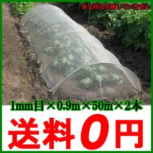 防虫ネット シート 1mm目 0.9m×50m 2本セット100m 虫よけネット 虫除けネット 害虫ネット 虫よけ 網 ガーデニング 野菜 園芸｜ssnet