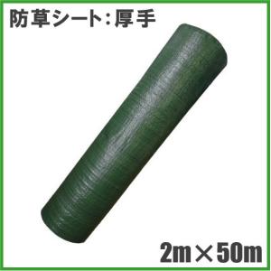 ダイオ 公式 防草シート 幅2m×長さ20m 【ダイオブランド