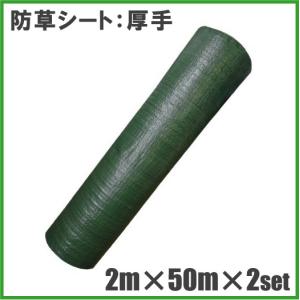 厚手 防草シート 2m×50m 2セット 100m 農業資材 雑草シート 雑草防止シート 農業シート 雑草対策