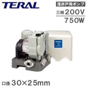 テラル多久 浅井戸ポンプ THP6-V750 (インバータ制御/三相200V750W