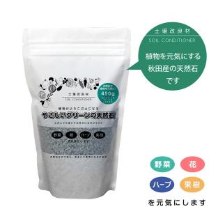 やさしいグリーンの天然石（450g） : グリーンタフShop - 通販 - Yahoo