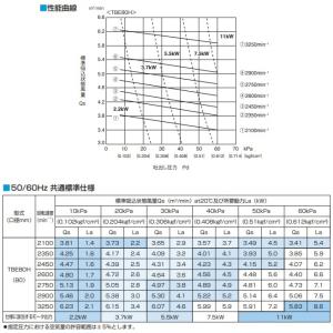ツルミポンプ ルーツブロワー 5TBE80H ...の詳細画像2