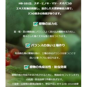 フローラ HB-101 100cc 6本セット...の詳細画像3