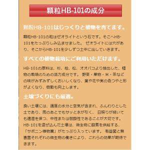 フローラ HB-101 300g 顆粒タイプ ...の詳細画像2