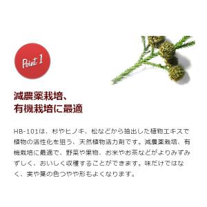 フローラ HB-101 300g 顆粒タイプ ...の詳細画像5