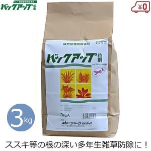防除剤 殺虫剤 スクミノン 2kg ジャンボタニシ 農薬 薬剤 対策 稲作