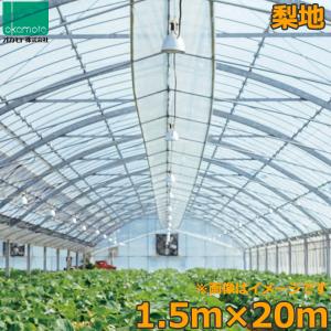 【引取限定】ビニールハウス用 螺旋杭 アンカー 60cm 13mm (50本) 楽天市場】(30本セット) 国産品 ラセン杭 大 φ13×600mm らせん杭 赤