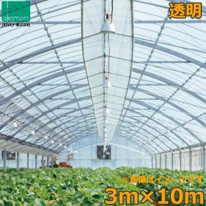 ビニールハウス 農ビ 梨地 5×8m 0.1mm厚 トンネルシート 農業用