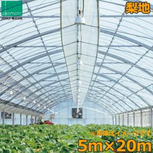 ビニールハウス 農ビ 透明 5×8m 0.1mm厚 天ビニール 屋根用 トンネル