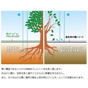防草シート グリーン 2m×5m 強力 耐候年...の詳細画像2