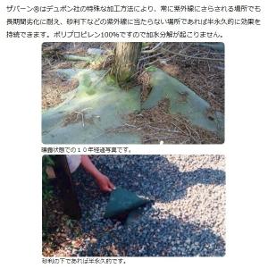 防草シート グリーン 2m×5m 強力 耐候年...の詳細画像3