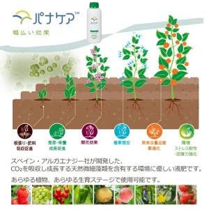 ハイポネックス 液肥 肥料 パナケアMA 1L...の詳細画像2