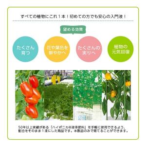 液体肥料 植物活力液 おもいやりストレート液 ...の詳細画像4