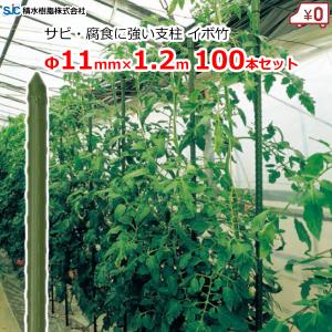 SHINSEI 園芸支柱 Φ16mm×2100mm 50本 農業資材 家庭菜園 園芸用
