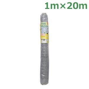 マルナカ セット動噴 動力噴霧器 AP20 農薬散布 消毒 : S.S net - 通販