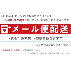 ハイポネックス プロミック 肥料 草花・鉢花用...の詳細画像1