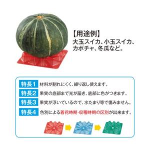 果実マット スイカマット 10枚入り 青 赤 ...の詳細画像1