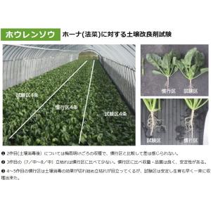 日本製 土壌改良剤 連作障害ブロックW 20k...の詳細画像4