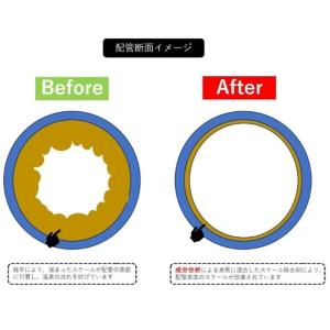 蔵王 スケール 除去剤 20L CLEAPIN...の詳細画像2