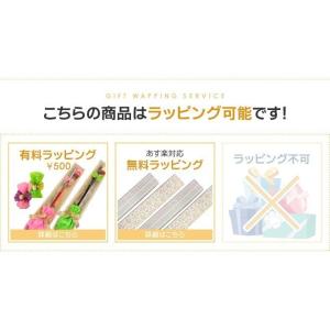 NEW マレットゴルフ スティック ランファス...の詳細画像3