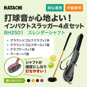 グラウンドゴルフ クラブ 羽立工業 HATAC...の詳細画像1