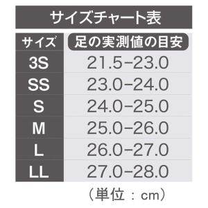 ホシノ インソール [ B+LDe Long ...の詳細画像2