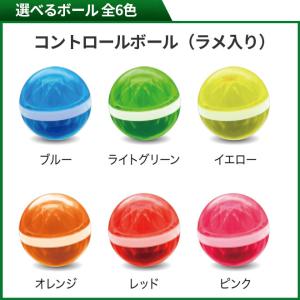 グラウンドゴルフ グランシア アルカ GRAN...の詳細画像2