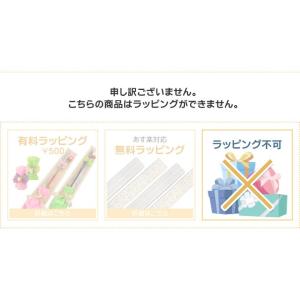 HOP! スキーバイス用交換チェーン 【チュー...の詳細画像1
