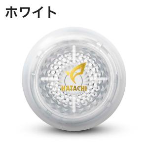グラウンドゴルフ 羽立工業 HATACHI ハ...の詳細画像1